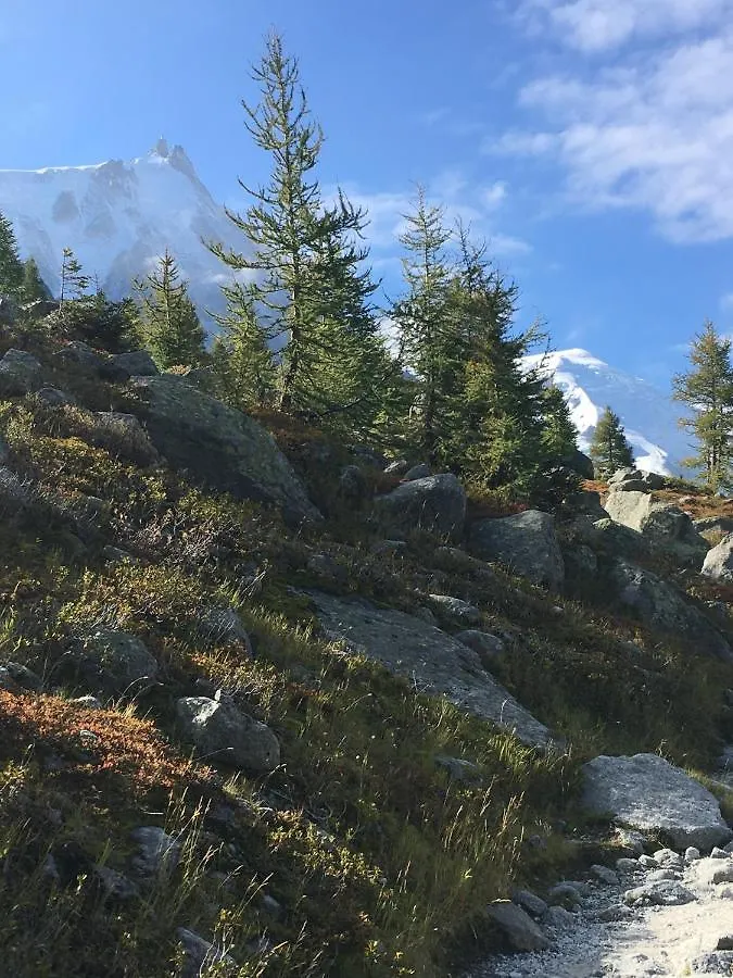 Aiguille Du Midi - Hotel & Restaurant Chamonix